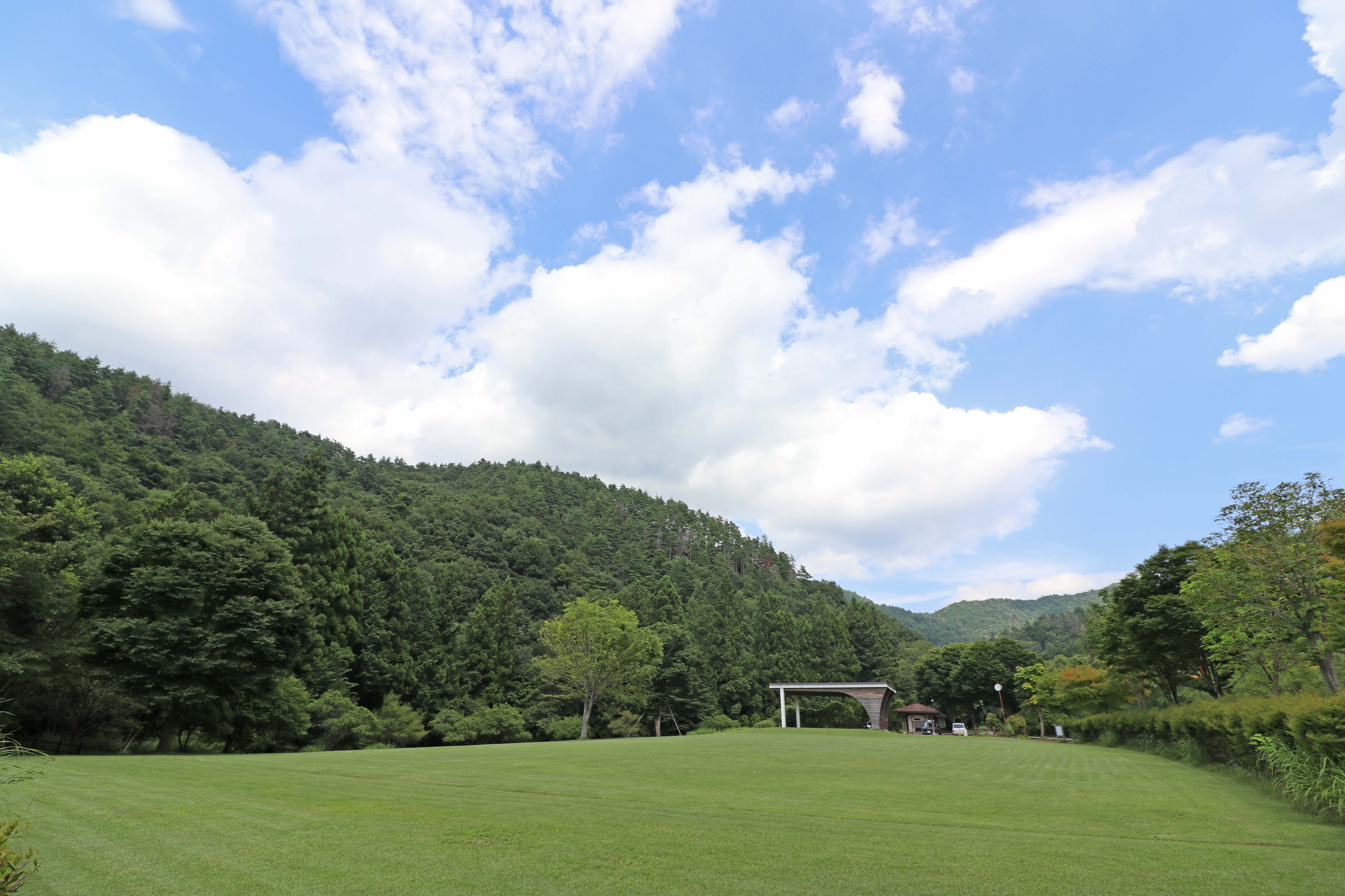 徒歩0分｜芝生広場「ゆうゆう広場」